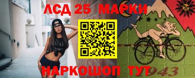 гашик Нарткала