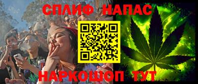 гашик Нарткала
